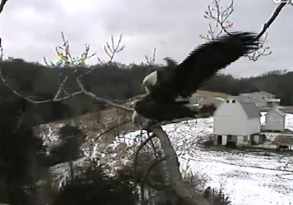 ScreenHunter_46 Feb. 21 11.21.jpg